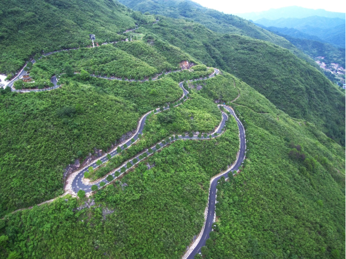 免佣百家乐