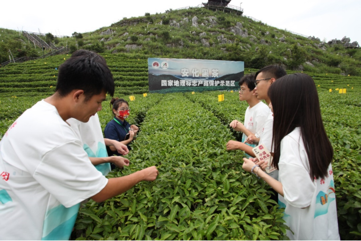 免佣百家乐